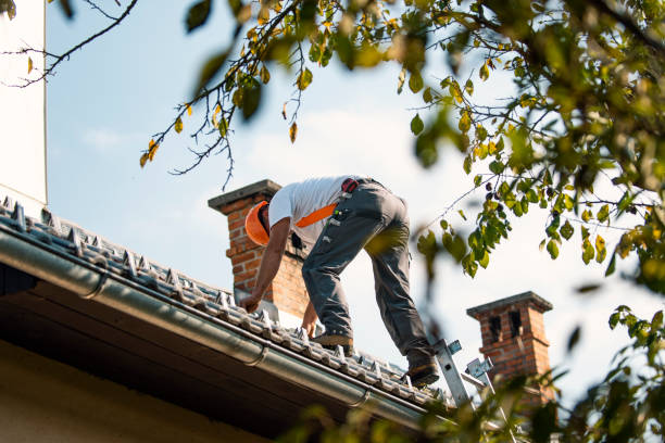 Best Metal Roofing Contractor  in Mathews, LA