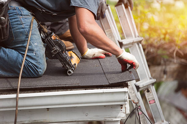 Best Gutter Installation and Roofing  in Mathews, LA